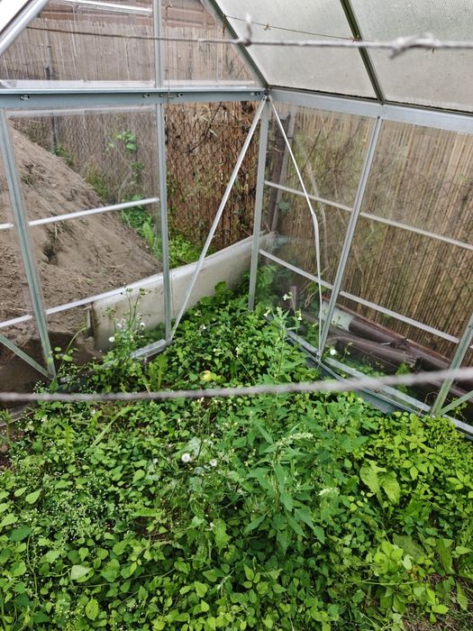 Szklarnia aluminium (uszkodzona) poliwęglan za darmo