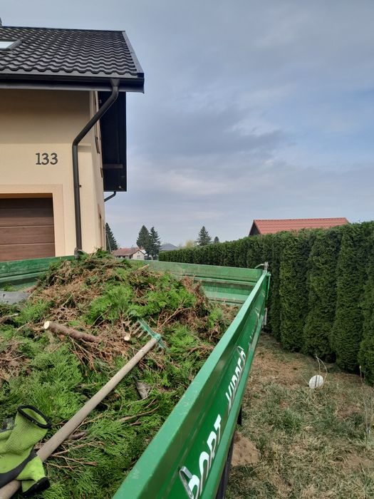 Wycinka drzew  koszenie trawy i nie tylko