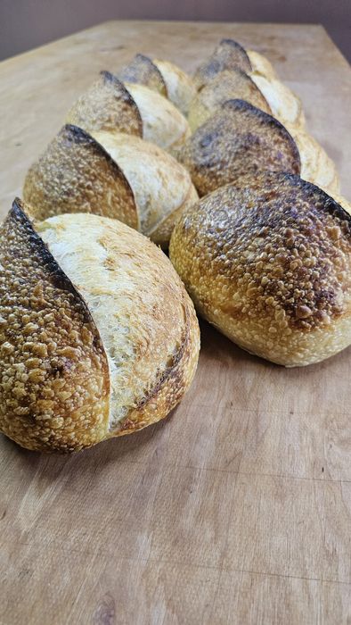 Піч подова з парогенератором Vektor ycd-2d