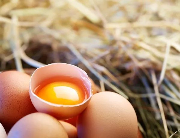 В продажу домашні яйця ціна 55гр за 10 шт