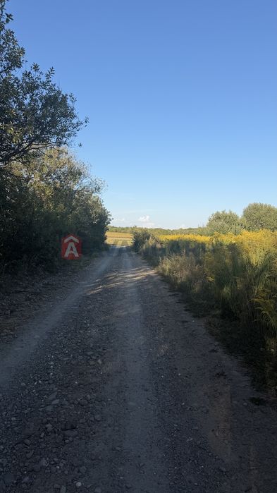 ПРОДАЖ ЗЕМЕЛЬНОЇ ДІЛЯНКИ — 50 СОТОК