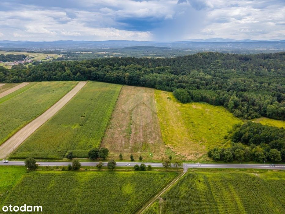 Działka rolna o powierzchni 2,6 ha - Widok 5