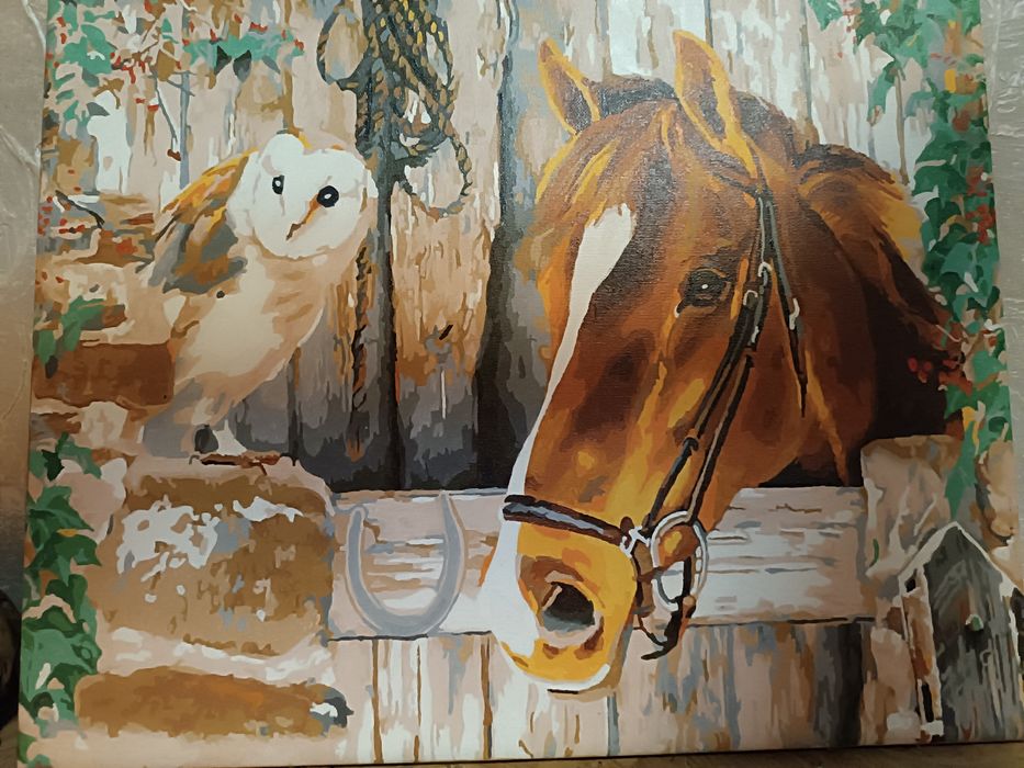 Картина по номерах 400*500 готові