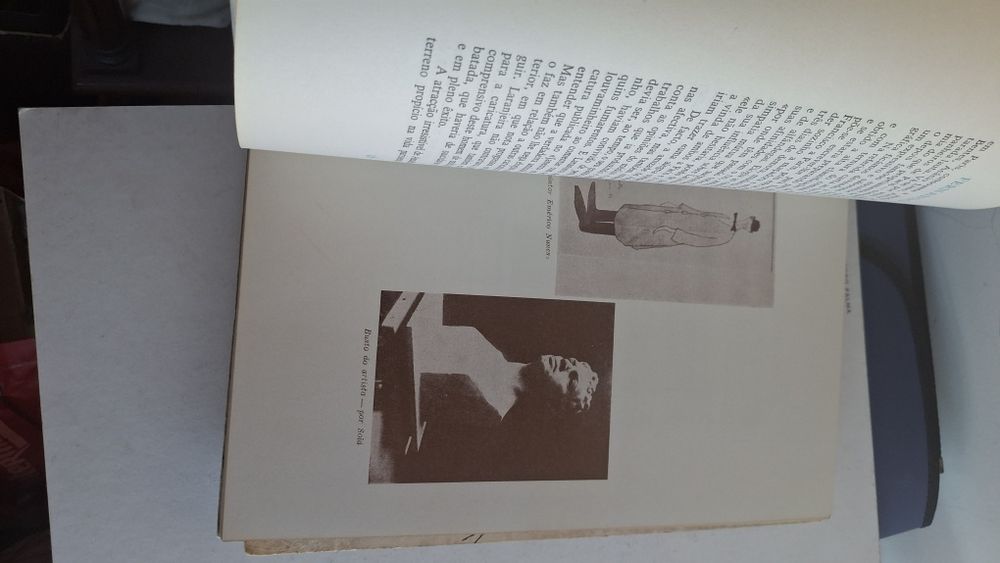 Amadeo Sousa-Cardoso chave da pintura 1983 livro