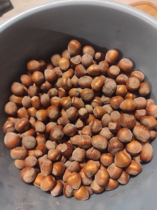 Sprzedam orzechy laskowe. Wysyłka