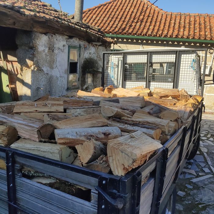 Carga com 2.5 M3 lenha carvalho   eucalipto pinheiro