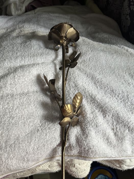 Железная Роза