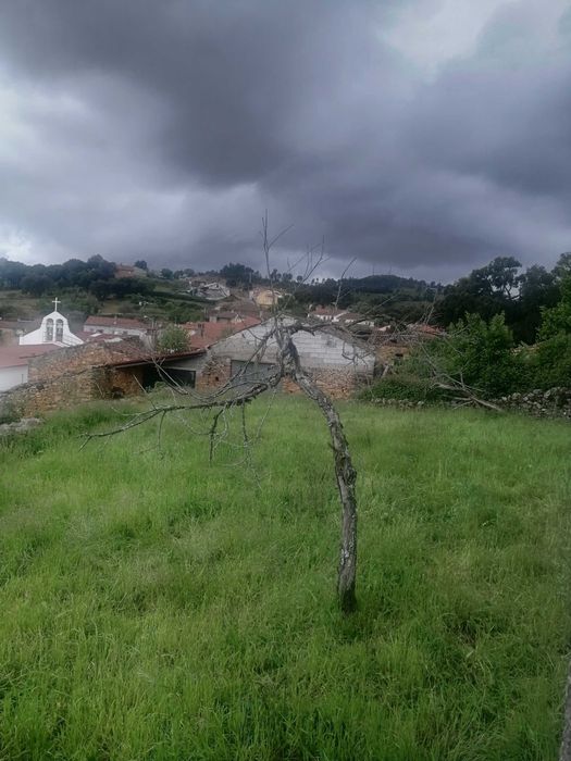 Moradia com Terreno em Zava Mogadouro