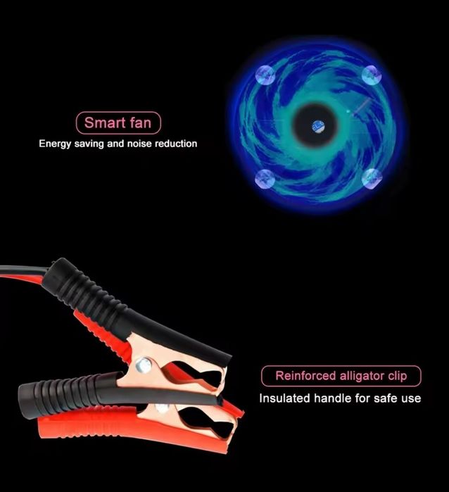 Carregador / Reparador de Baterias Inteligente 12/24V