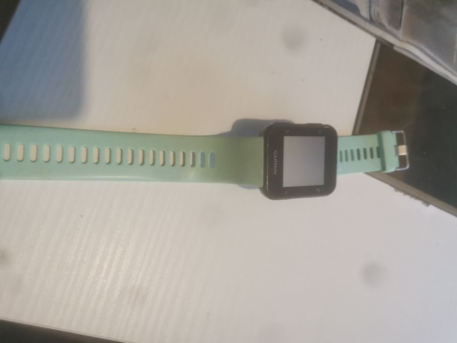 Garmin Forerunner 35 Frost Blue