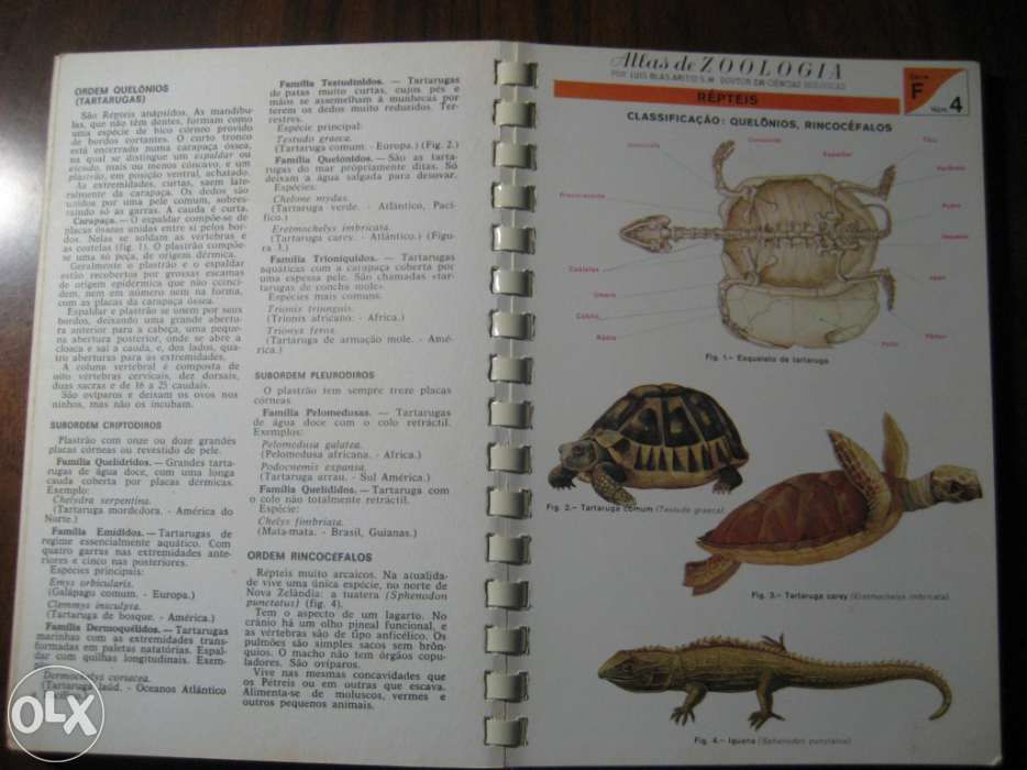 Atlas DE Zoologia (Vertebrados)