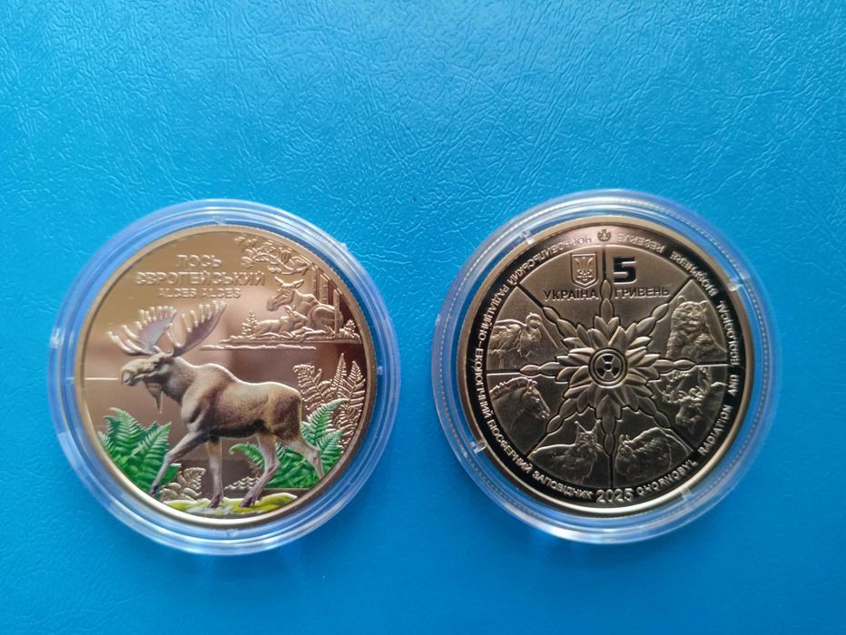 Чорнобиль. Відродження. Лось європейський.