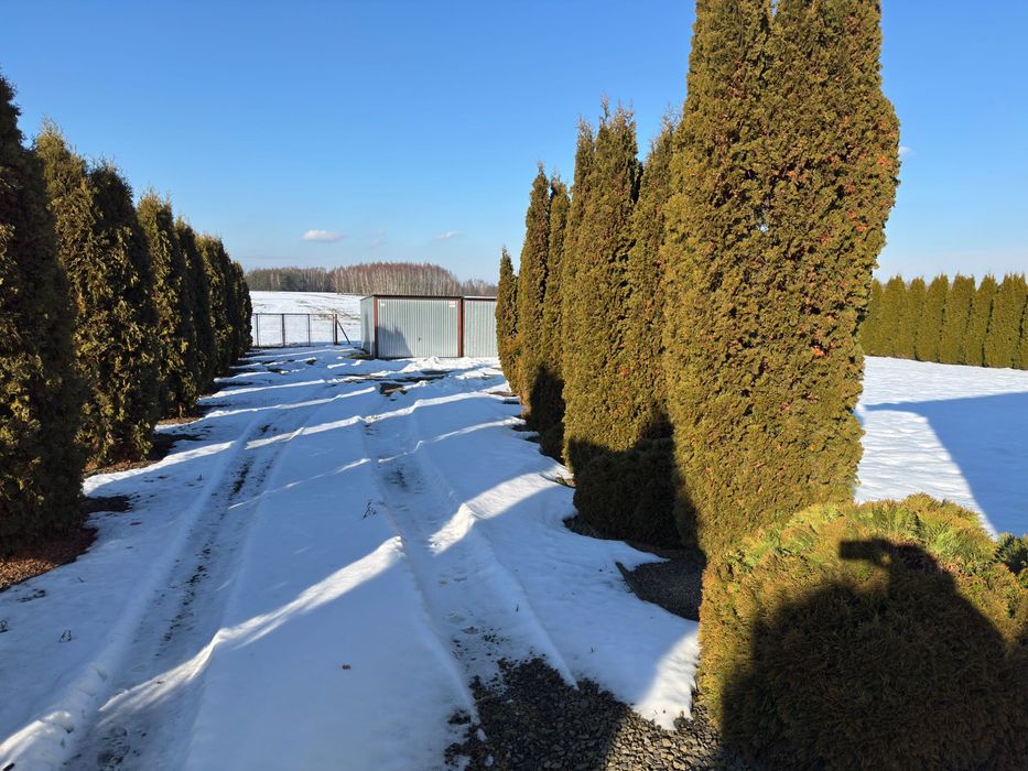 Dom wolnostojący -sprzedam