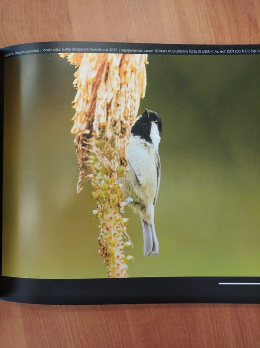 Livro "A paixão pelas aves desde Trás-os-Montes" (2015)