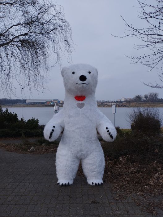 Imprezowe Misie BIAŁY-BRĄZOWY