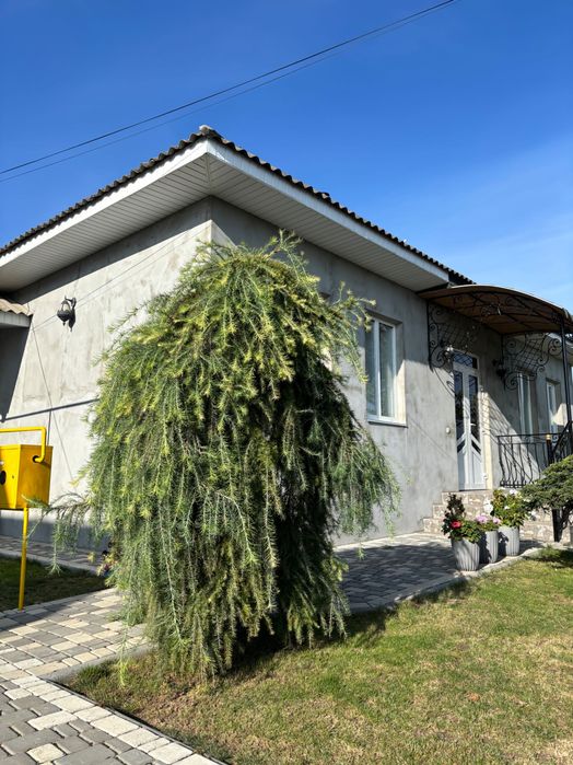 Продам будинок у Дністрівському  рн. Чернівецької обл. Село Вашківці