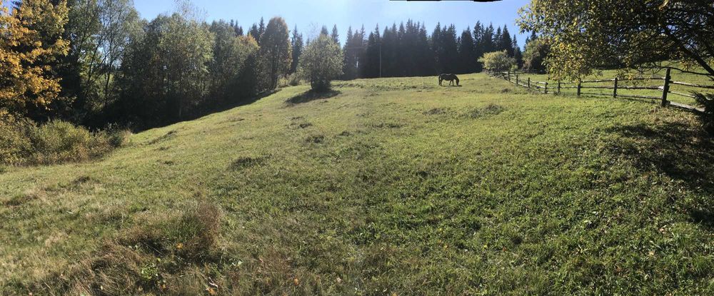 Земельна ділянка в с. Яблуниця