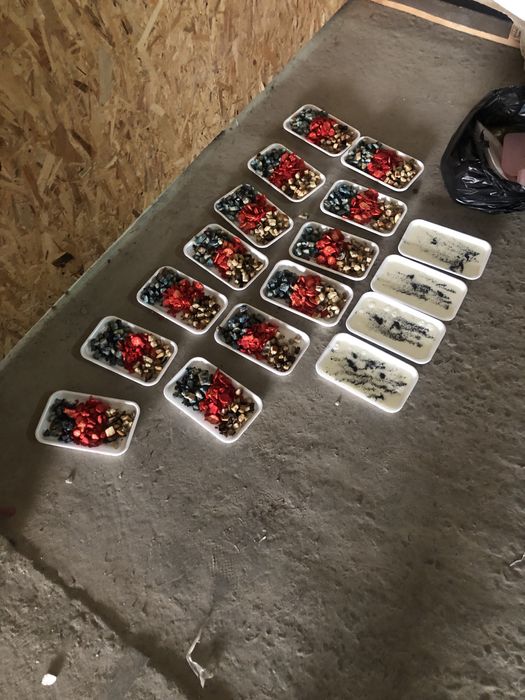 Знищення комах та гризунів