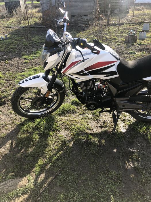 мустанг регіон 200