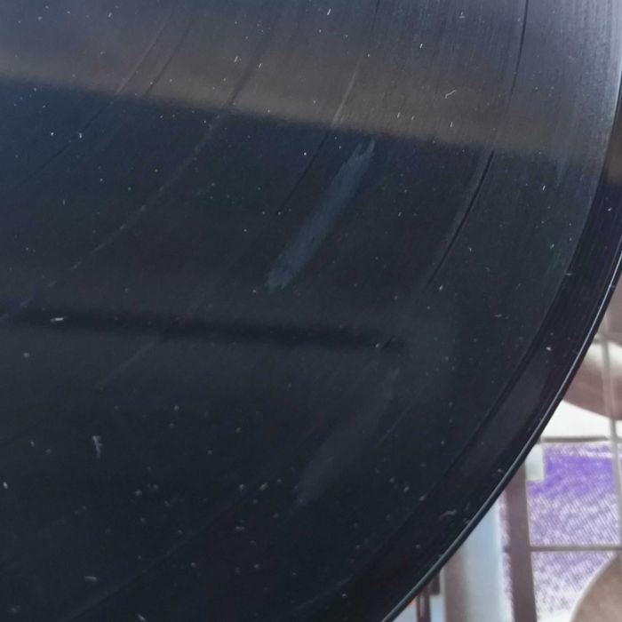 The Bonaparte's Welcome To The Isle Of Dogs Vinil