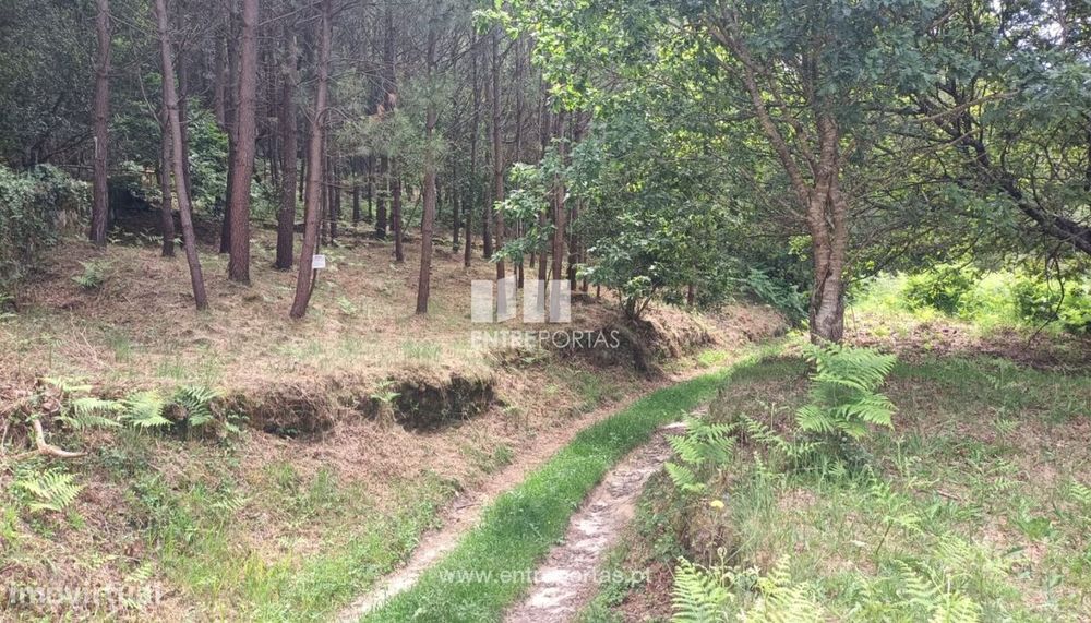 Venda de excelente terreno para construção, Areosa, Viana do Castelo