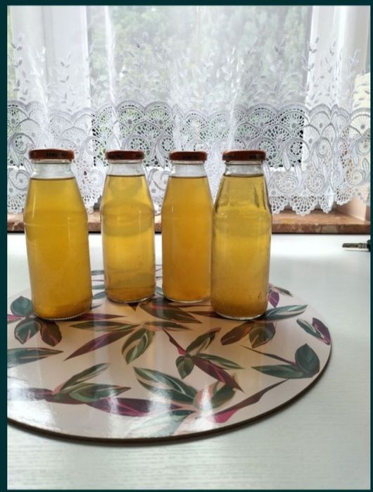 Syrop z kwiatów bzu czarnego 10 butelek