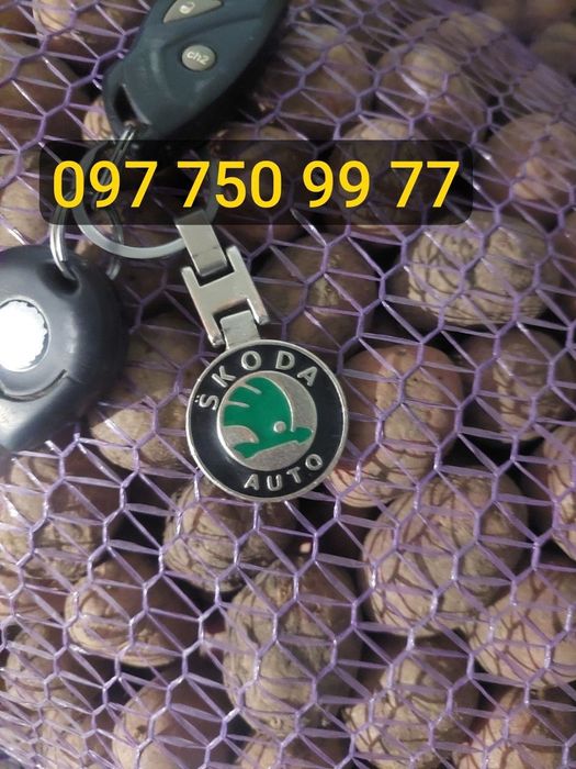 Продаю насіння картоплі