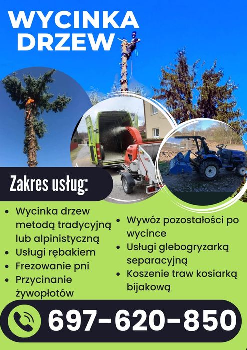 Wycinka drzew, przycinanie żywoplotów, wywóz pozostałości