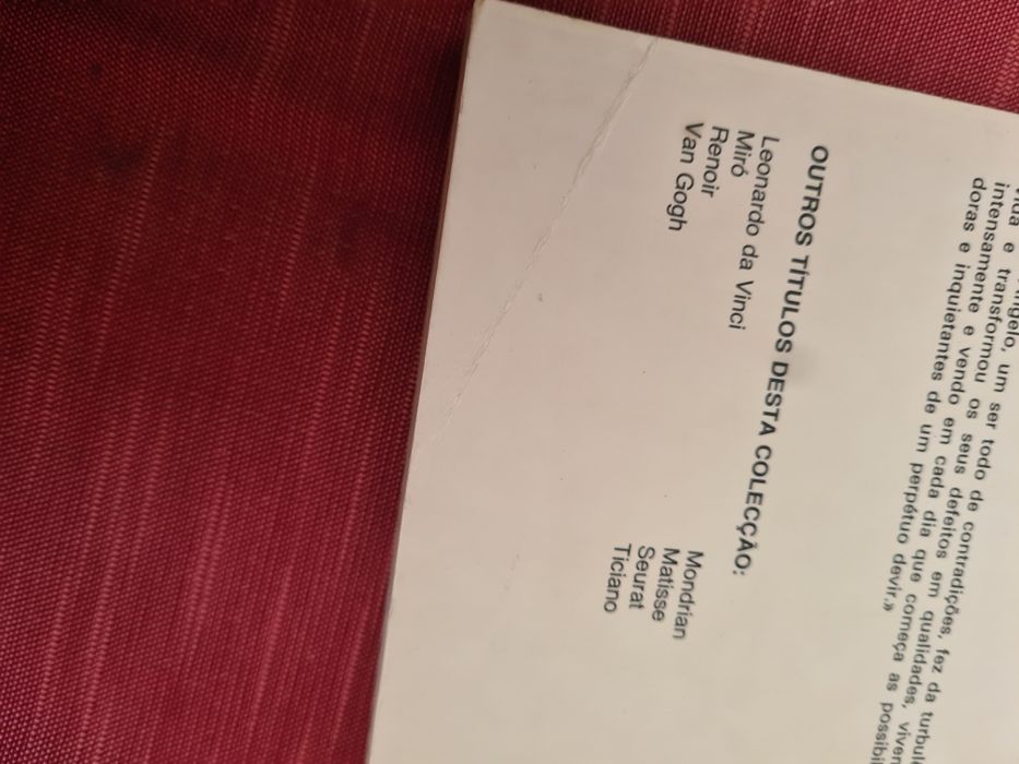 Livro Miguel Ângelo