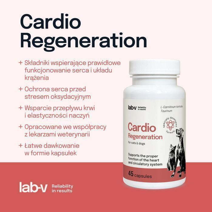 Suplement Dla Psów I Kotów Lab-v Cardio Regeneration Wsparcie Serca Układu Krążenia 45 Kapsułek Zoojoy