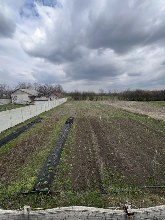 Земельный участок,ТАРОМСКОЕ