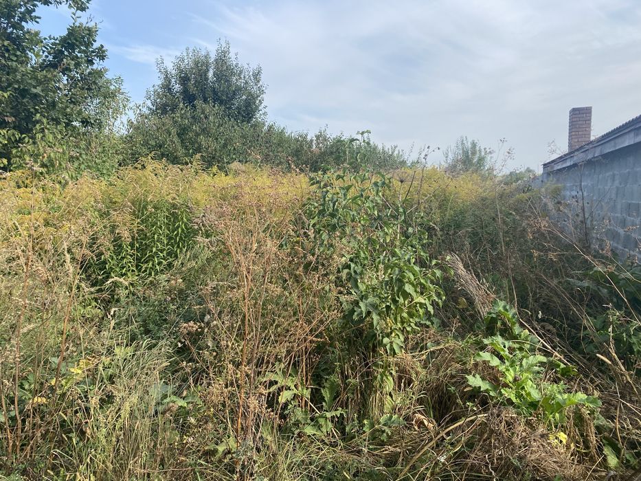 Обрізка дерев , послуги гілкоподрібнювачів, самоскид+грейфер,автовишка