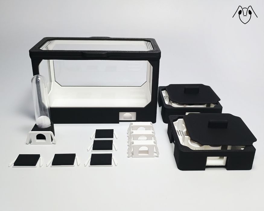 Formikarium AVERAGE M - Modułowe Terrarium Dla Mrówek 140x140