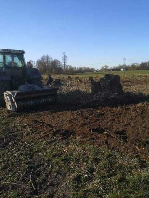 Zakupimy las, wyrąb lasów,wycinka drzew ,rekltywacja 30 c,m