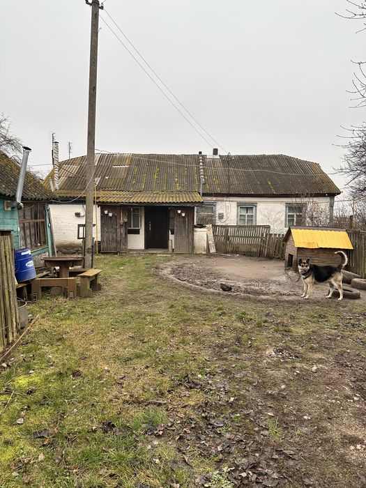 Продаж будинку з ділянкою 25 соток  с. Небелиця, Київська область