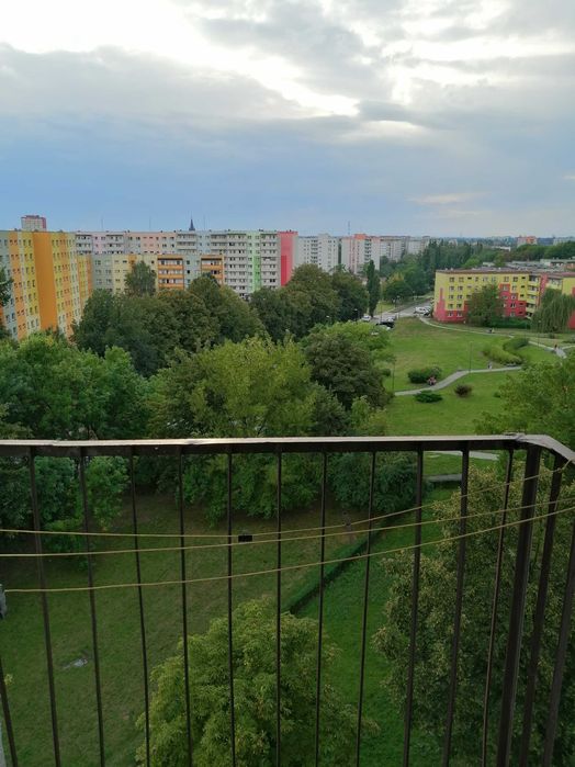 OKAZJA! dla Studentów