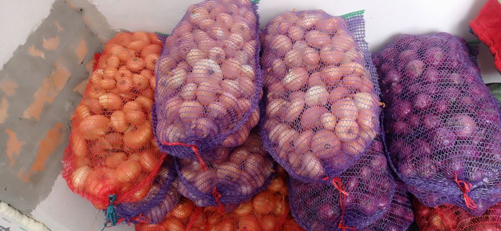 Продам цибулю на перо