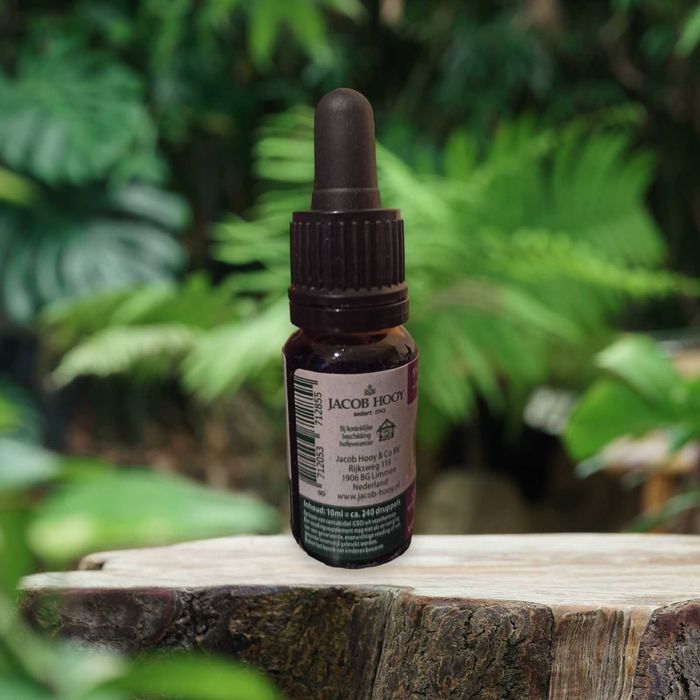 Jacob Hooy CBD Olej 5% + Witamina D3 (10ml)