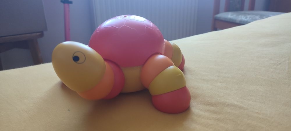 Żółw do składania 2+