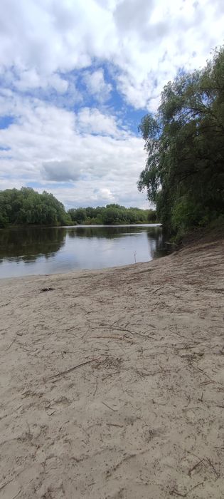 Затишна садиба біля Десни