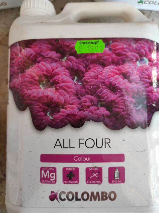 Colombo do akwarium morskiego