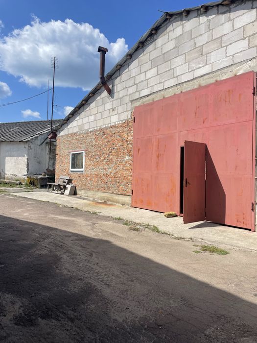 Оренда  та продаж складських приміщень с. Сінгури