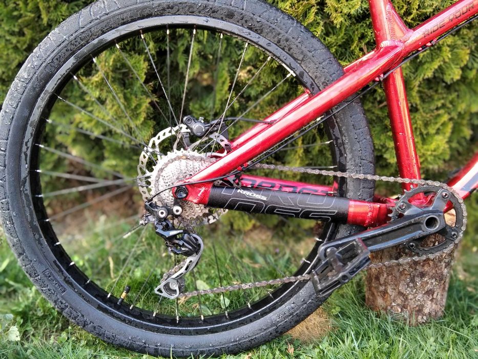 Dartmoor Hornet 2020