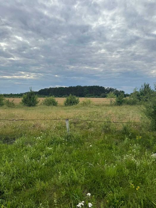 Земельна ділянка с. Боянець