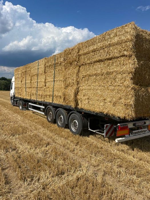 Słoma duża kostka duże kostki słomy pszenica jęczmień