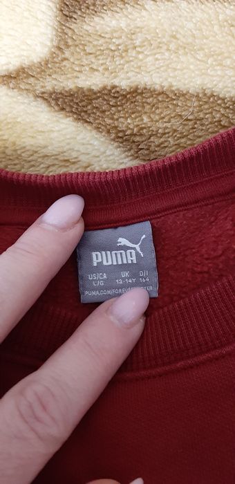 Спортивне худі Фірма Пума