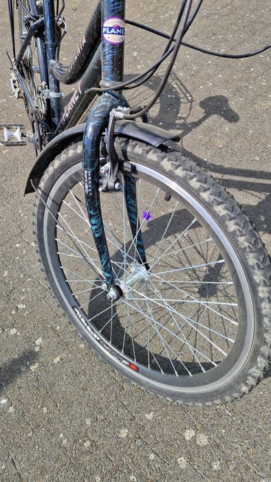 Rower dla dziewczynki, damski Titania Planet, koła o rozmiarze 24