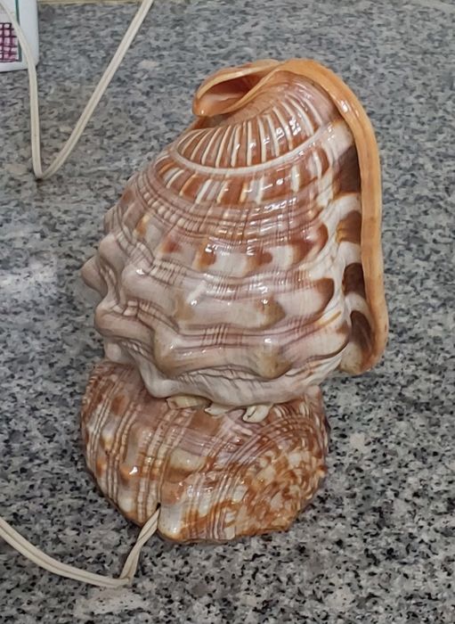 CANDEEIRO DE PRESENÇA PARA BEBÉ OU IDOSO.Casa,Quarto, Sala, Infantário