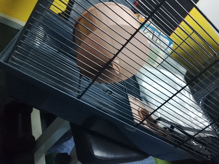 Gaiolas hamster usadas