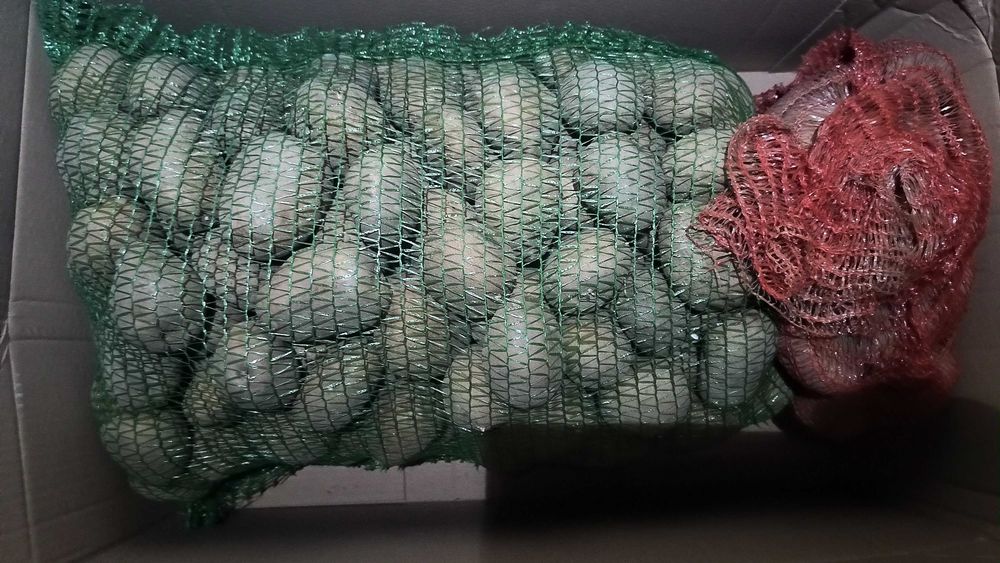 Ziemniaki Irga ekologiczne 25kg